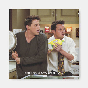 FRIENDS™ Joey & Chandler Bangschuw Magneet