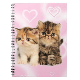 Friends notebook notitieboek