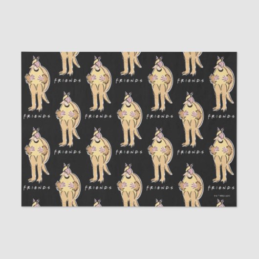 FRIENDS™ | Vakantie Armadillo Tissuepapier (Voorkant)
