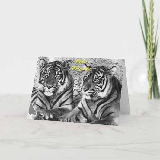 Friendship_Kaart Kaart (Voorkant)