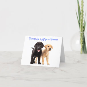 Friendship Labrador Retriever Puppies Kaart