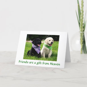Friendship Labrador Retriever Puppy Card Kaart