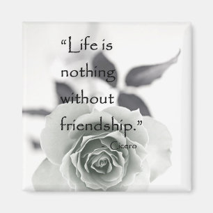 Friendship Magnet Magneet