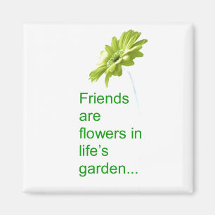 Friendship Magnet Magneet