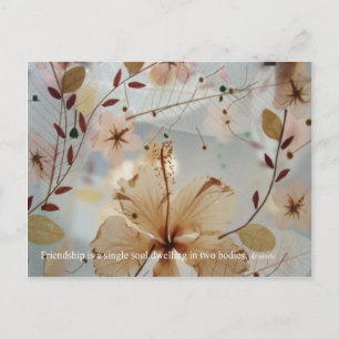Friendship Petal Briefkaart