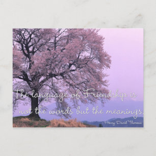 Friendship Quote 1 - Cherry Blossom Tree Briefkaar Briefkaart