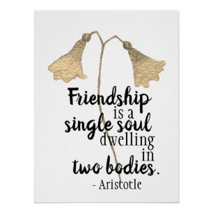 Friendship Quote Flowers Perfect Poster