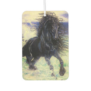 Fries paard, zwarte hengst, Fries paard/7 Luchtverfrisser