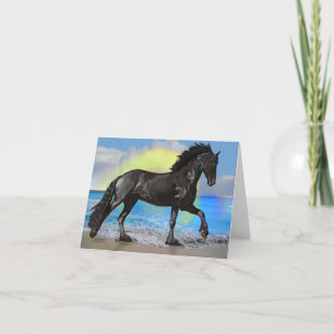 Friese Paard Strand Kaart