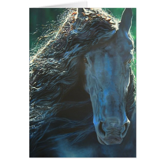 Friese paard, zwarte hengst (Voorkant)