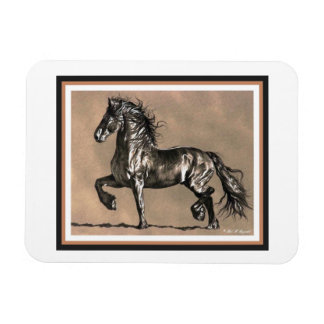 Friese Paardenmagneet Magneet