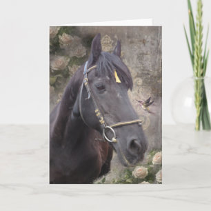 Friese Paardenportret - Wenskaart Bedankkaart