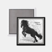 Friese Power Magnet 2 Magneet (Voorkant / Achterkant)