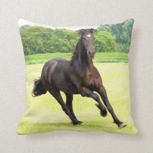 friesian-12.jpg kussen