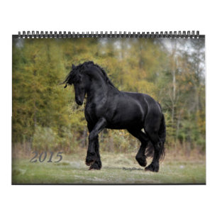Friesian and Horse 2015 Kalender