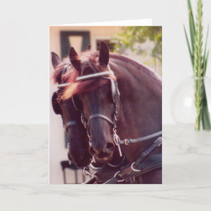 Friesian Carriage Horriage Card Kaart