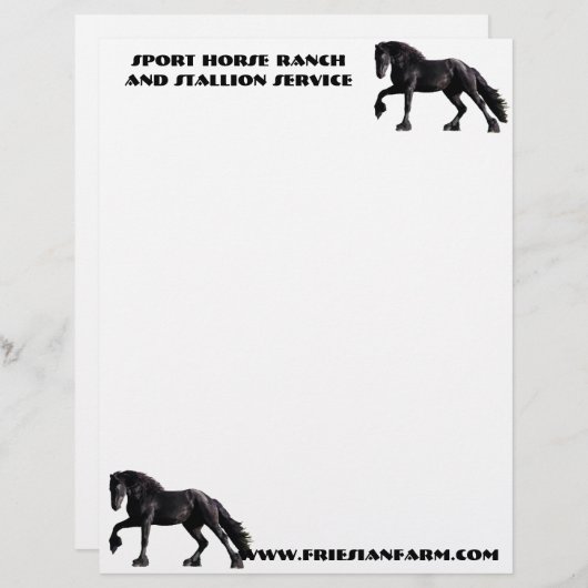 Friesian Colt Briefhoofd (Voorkant / Achterkant)