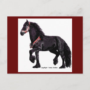 Friesian Dance Briefkaarten