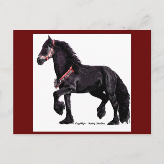 Friesian Dance Briefkaarten (Voorkant)