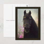 Friesian DIAMOND - Carte postale (Devant / Derrière)