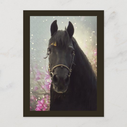 Friesian DIAMOND - Carte postale (Devant)