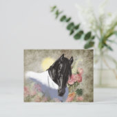 Friesian DIAMOND - Carte postale (Debout devant)