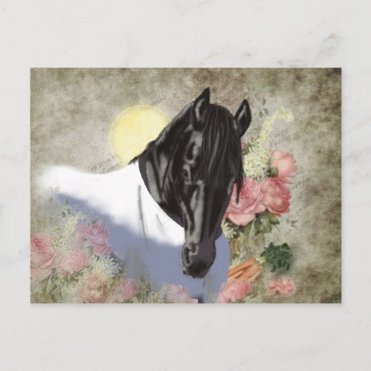 Friesian DIAMOND - Carte postale (Devant)
