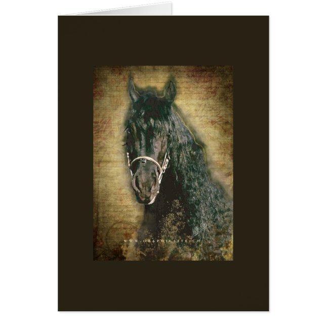 Friesian DIAMOND - Carte, Voeux/Note (Devant)