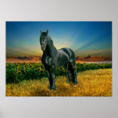 Friesian DIAMOND II - Affiche (Devant)