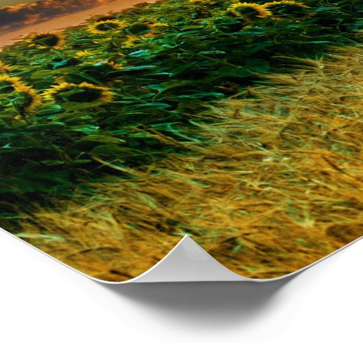 Friesian DIAMOND II - Affiche (Coin)