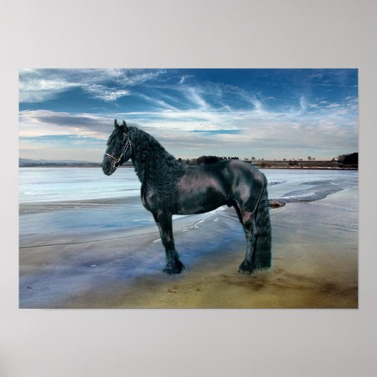 Friesian DIAMOND III - Affiche (Devant)