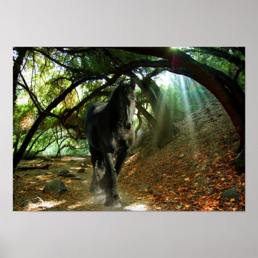 Friesian DIAMOND IV - Affiche (Devant)