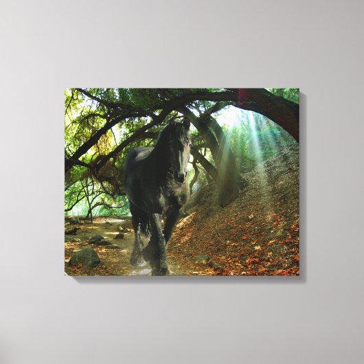 Friesian DIAMOND IV - Toile enveloppée (Recto)