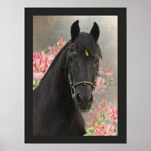 Friesian DIAMOND ~ Portret 3 - Poster (Voorkant)