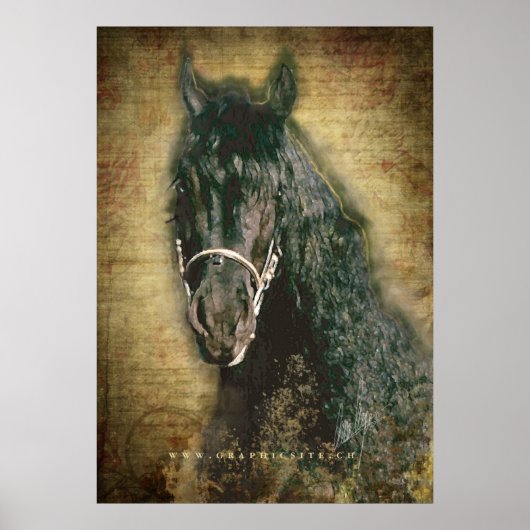 Friesian DIAMOND - Poster (Voorkant)
