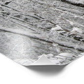 Friesian DIAMOND VII - Impression photo (Coin)