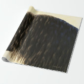 Friesian Draft Horse Portret Cadeaupapier (Uitgerold)