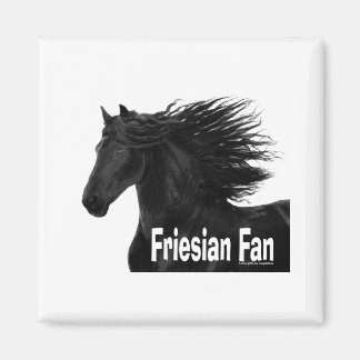 Friesian Fan Magneet