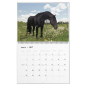 Friesian Feathers 2015 Kalender (Mar 2027)