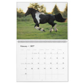 Friesian Feathers 2015 Kalender (Feb 2027)