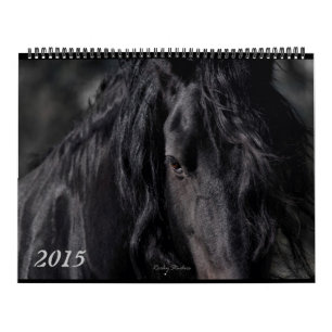 Friesian Feathers 2015 Kalender