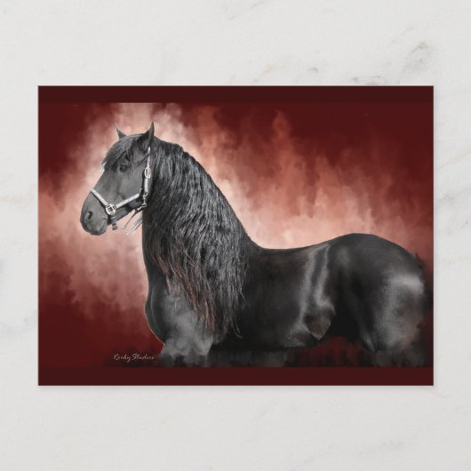 Friesian Fire Briefkaart (Voorkant)