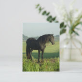 Friesian Horse Briefkaart (Staand voorkant)