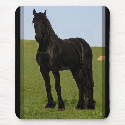 Friesian Horse Mousepad #9 Muismat (Voorkant)
