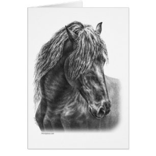 Friesian Horse Portrait Wavy Mane
