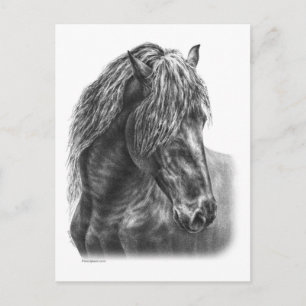 Friesian Horse Portrait Wavy Mane Briefkaart