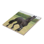 Friesian Horse Tile Tegeltje (Zijkant)