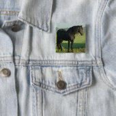 Friesian Horse Vierkante Button 5,1 Cm (In situ)