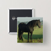 Friesian Horse Vierkante Button 5,1 Cm (Voorkant /achterkant)