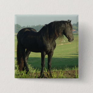 Friesian Horse Vierkante Button 5,1 Cm